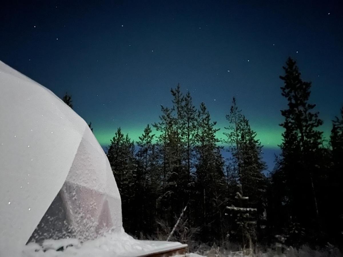 Aurora Igloo Fireplace-Heated Tents In A Secret Forest With Private Jacuzzi And Shared Sauna Bathroom And Dog Friendly Ροβανιέμι Εξωτερικό φωτογραφία