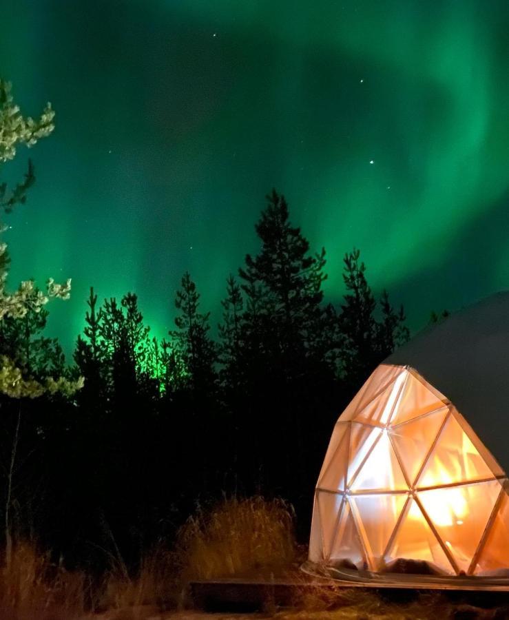 Aurora Igloo Fireplace-Heated Tents In A Secret Forest With Private Jacuzzi And Shared Sauna Bathroom And Dog Friendly Ροβανιέμι Εξωτερικό φωτογραφία
