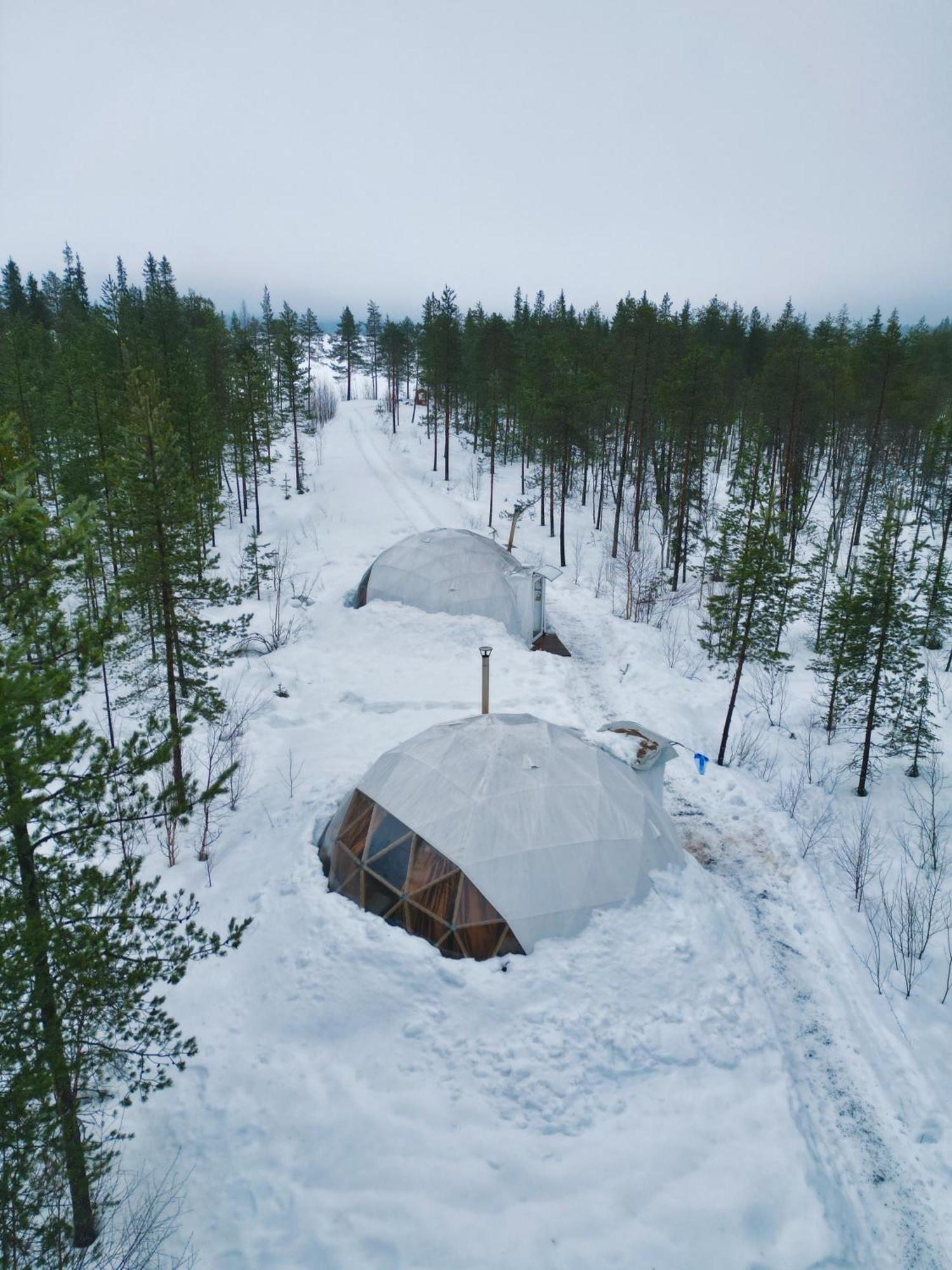 Aurora Igloo Fireplace-Heated Tents In A Secret Forest With Private Jacuzzi And Shared Sauna Bathroom And Dog Friendly Ροβανιέμι Εξωτερικό φωτογραφία
